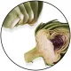 Amare Digestive – Full Spectrum Enzyme Blend for Gut Health Support