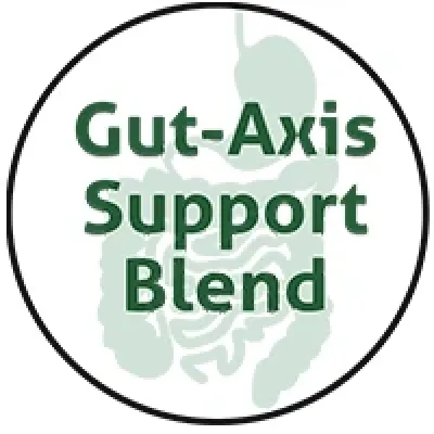 Amare Kids FundaMentals™ – Gut-Brain Axis Nutrition for Growing Kids