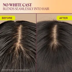 Clarify Dry Shampoo Powder – The Rootist™