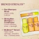 The Mini Trial Kit The Rootist™
